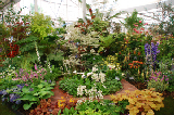 2008_0523_105607AA