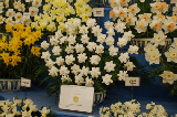 2008_0523_112200AA