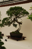 2008_0523_113220AA