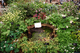 2008_0523_121338AA