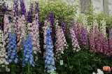 2008_0523_125032AA