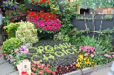 2008_0523_160900AA