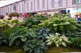 2008_0523_170048AA