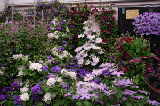 2008_0523_170126AA