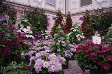 2008_0523_170356AA