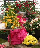 2008_0523_172712AA