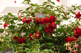 2008_0523_173222AA